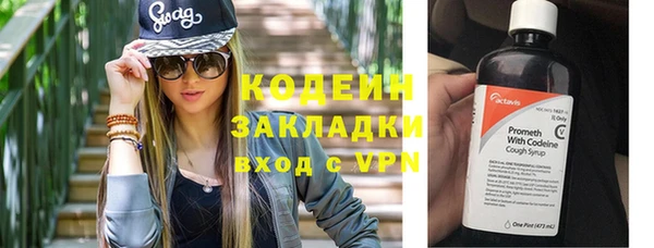 крисы Новокубанск