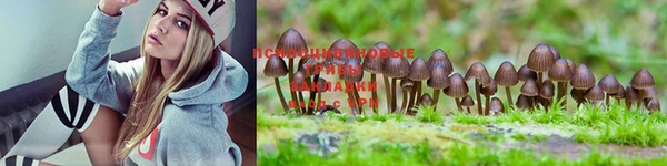 марки nbome Новозыбков