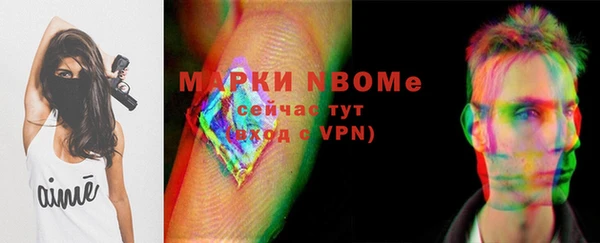 крисы Новокубанск