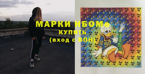 крисы Новокубанск